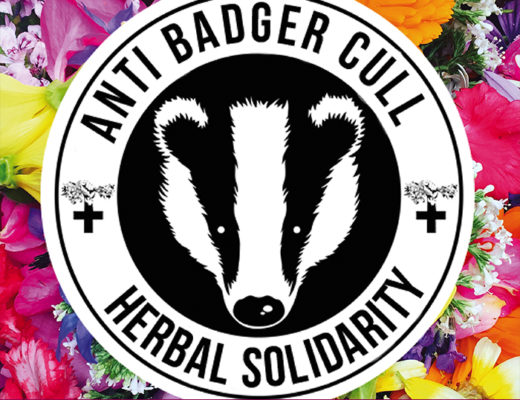 Image shows a badger face with 'Anti Badger Cull Herbal Solidarity' in a circle surrounding it. Medicinal herbs are in the background