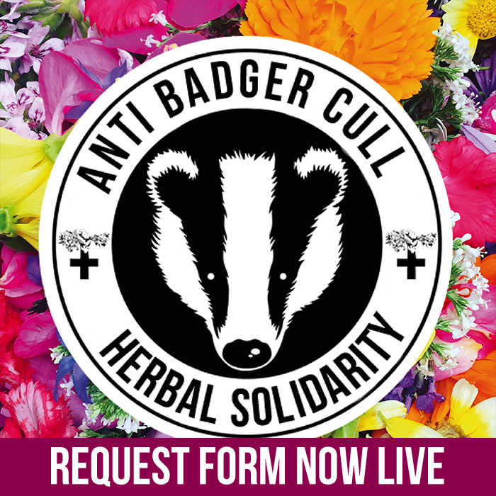 Image shows a badger face with 'Anti Badger Cull Herbal Solidarity' in a circle surrounding it. Medicinal herbs are in the background