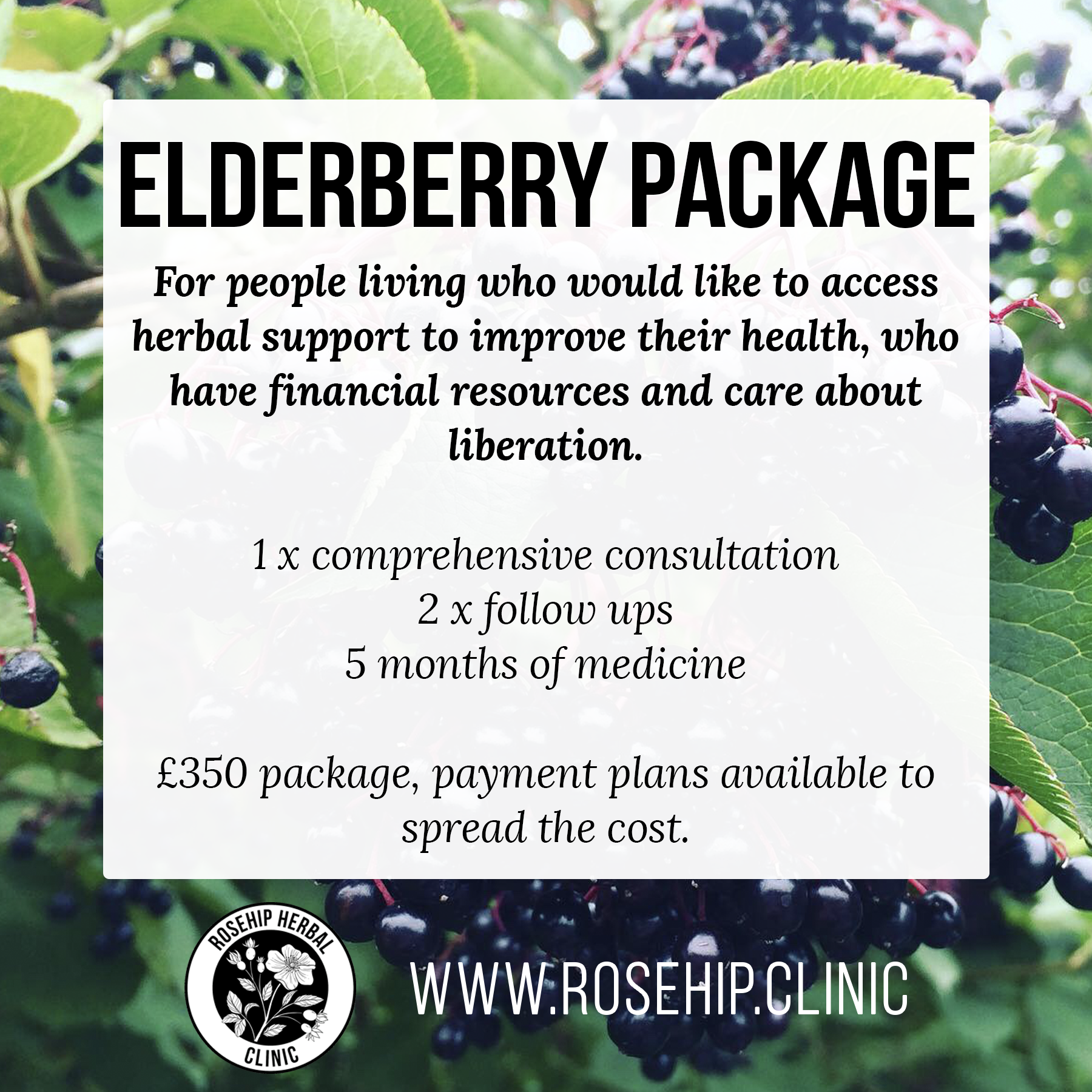 Elderberry Package