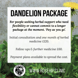 Dandelion - Follow Up & Medicine